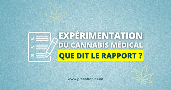 cannabis médical expérimentation france