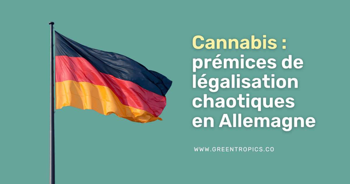 légalisation cannabis allemagne