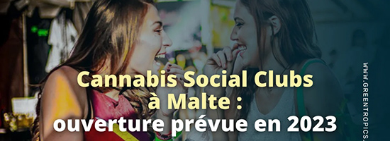 Cannabis Social Clubs Malte