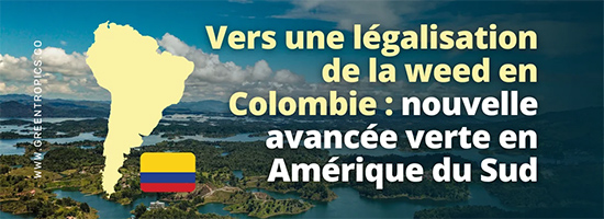 Légalisation cannabis colombie
