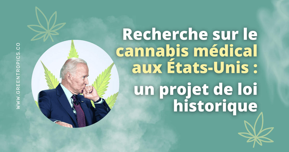 recherche sur le cannabis médical USA