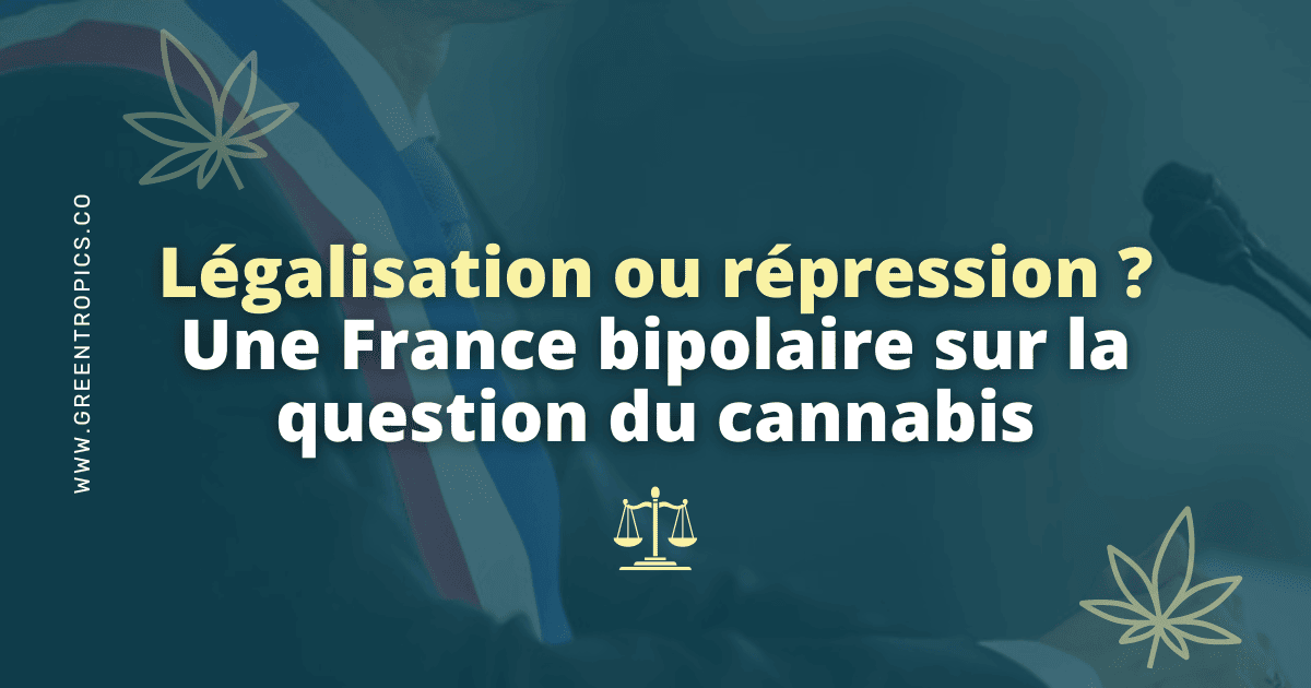 Légalisation ou répression cannabis